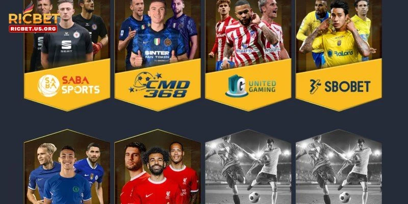 RICBET | Trang Cá Cược Xổ Số Uy Tín Hàng Đầu Cho Bet Thủ 14 Cược thể thao mang đến kho kèo chơi bạc tỷ.