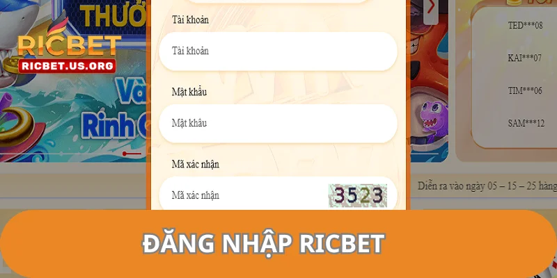 Đăng nhập RICBET trên website được nhiều người lựa chọn.