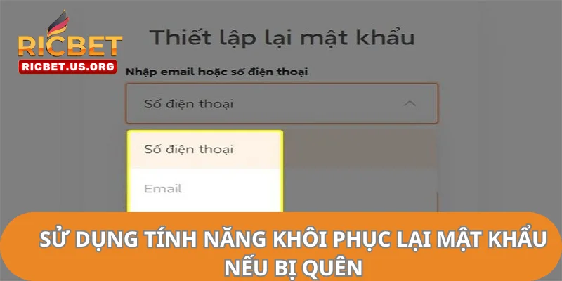 Sử dụng tính năng khôi phục lại mật khẩu nếu bị quên.